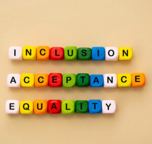 inclusion